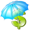 Insurance PNG Picture