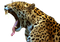 Jaguar PNG File