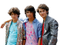 Jonas Brothers Pop Band PNG Image