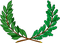 Jungle Vines PNG HD Image