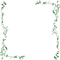 Jungle Vines PNG Image HD