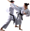 Karate PNG File