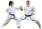 Karate PNG High Quality Image