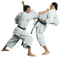 Karate PNG Pic