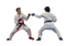 Karate PNG Picture