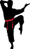 Karate Silhouette PNG Picture