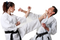 Karate Transparent