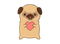 Kawaii Pug PNG High Quality Image