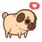 Kawaii Pug PNG Photo