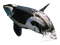 Killer Whale Free PNG Image