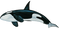 Killer Whale PNG