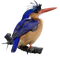 Kingfisher Bird PNG Picture