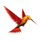 Kingfisher PNG Image HD