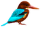 Kingfisher PNG Pic