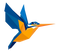 Kingfisher PNG