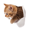 Kitten PNG Picture