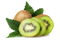 Kiwi Transparent