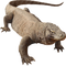 Komodo Dragon PNG Image