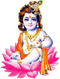 Krishna Janmashtami PNG Pic