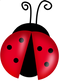 Ladybug PNG File