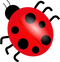 Ladybug PNG Picture