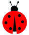 Ladybug