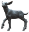 Lamb PNG File