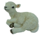 Lamb PNG Pic