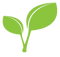 Leaf PNG Clipart