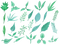 Leaf PNG Free Download