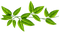 Leaves Free Download PNG