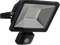 LED Flood Light Transparent