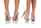 Legs Download PNG