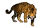 Leopard PNG Pic Background