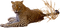 Leopard PNG Pic