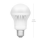 Light Bulb Transparent