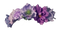 Lilac PNG Image