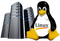 Linux Hosting PNG File