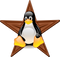 Linux Logo PNG Clipart