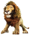 Lion Background PNG