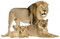 Lion Cub PNG Pic