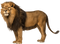 Lion Free Download PNG