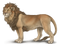 Lion No Background