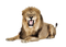 Lion PNG