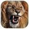 Lion Roar PNG Free Download