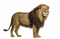 Lion Transparent File