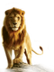 Lion Transparent Image