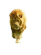 Lion Transparent Images