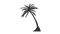 Long Coconut Tree PNG Clipart