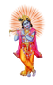 Lord Krishna PNG Pic